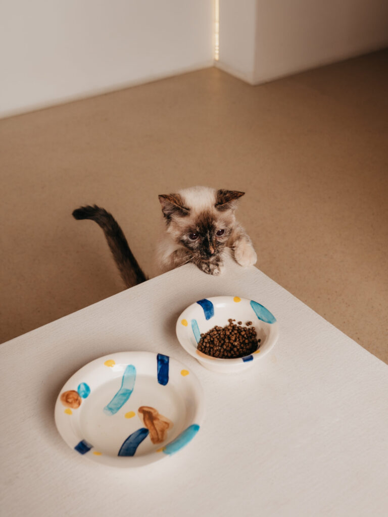 КАК РАССЧИТАТЬ ДНЕВНУЮ ПОРЦИЮ КОРМА ДЛЯ КОШКИ?