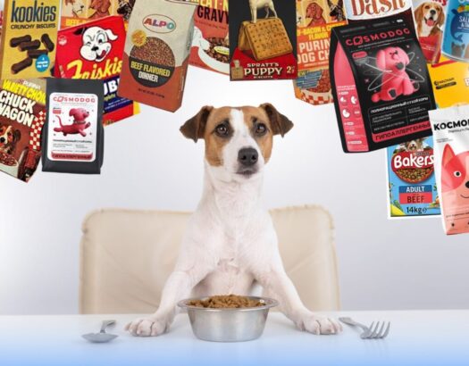 КРАТКАЯ ИСТОРИЯ КОРМОВ: ОТ ХЛЕБНЫХ КОРОК ДО ЛЕЧЕБНЫХ РАЦИОНОВ 125