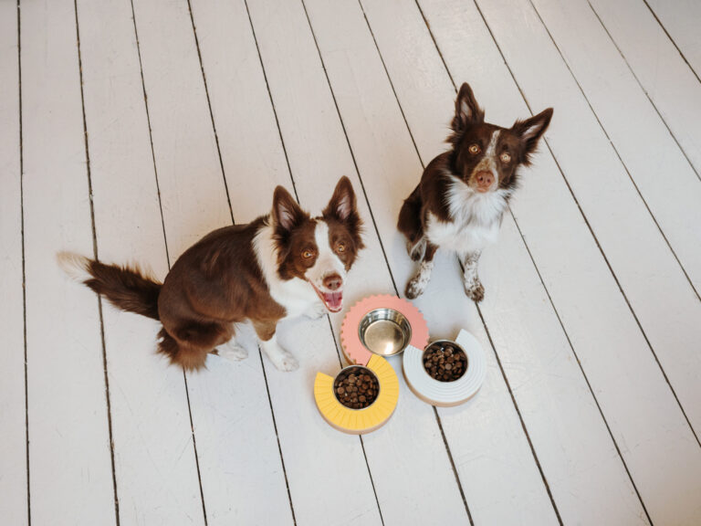 СКОЛЬКО КОРМА НУЖНО ИМЕННО ВАШЕЙ СОБАКЕ?