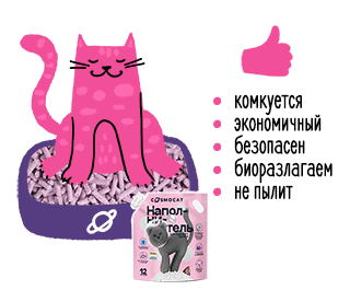 Дела кошачьи: виды наполнителей, их плюсы и минусы 438