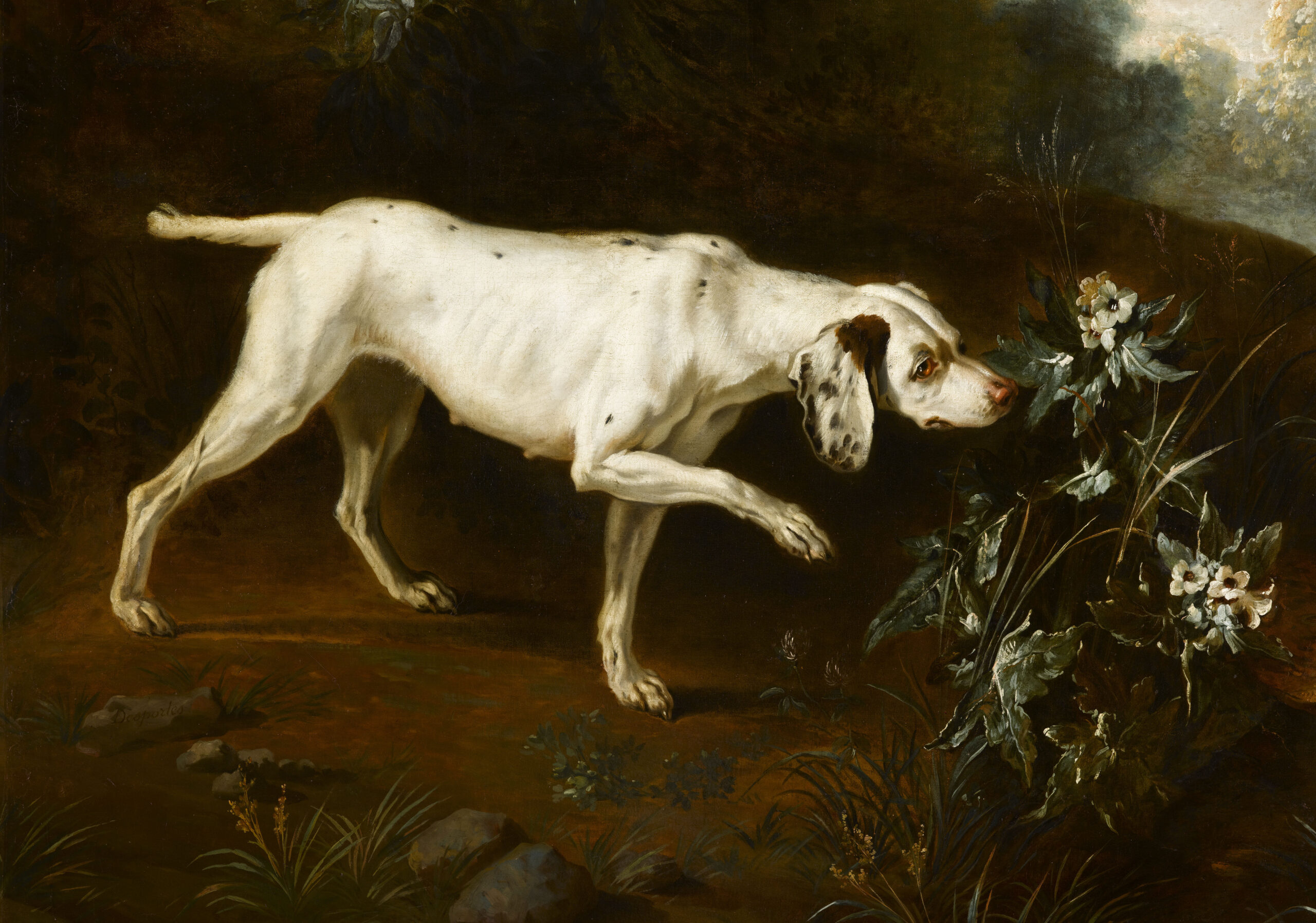 Собаки, кошки, миллиарды: история корма — от костей до насекомых 665