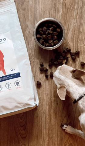 Тестирую инновационный корм для собак