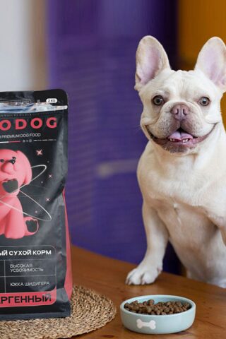 Чем кормить собаку-аллергика