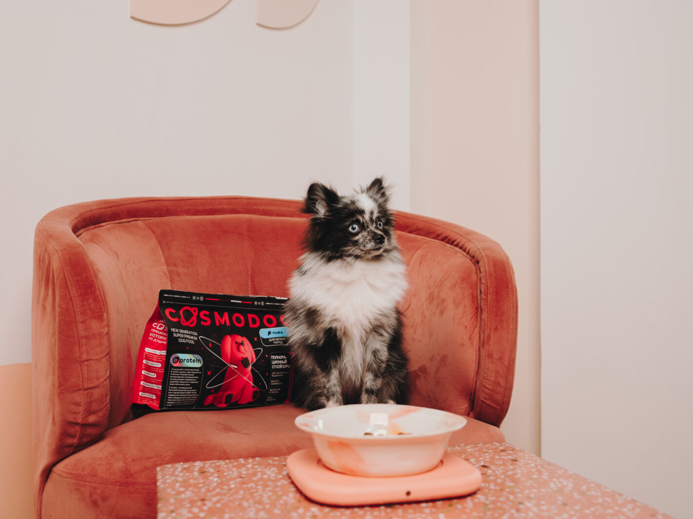 ПЕРВЫМИ В СТРАНЕ СТАЛИ ДЕЛАТЬ ГИПОАЛЛЕРГЕННЫЕ КОРМА ИЗ ЧЁРНОЙ ЛЬВИНКИ 872