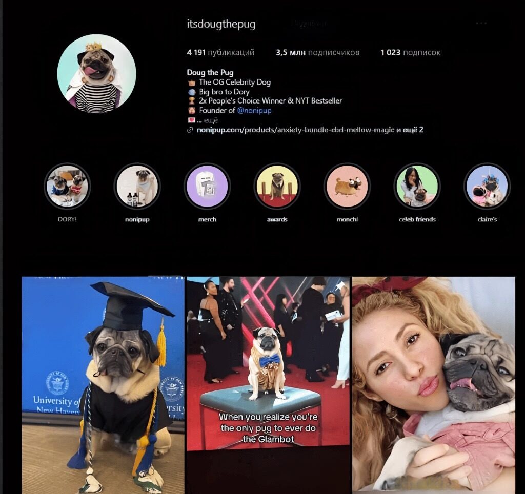 Pet parenting: почему нам легче завести собаку, чем семью 749