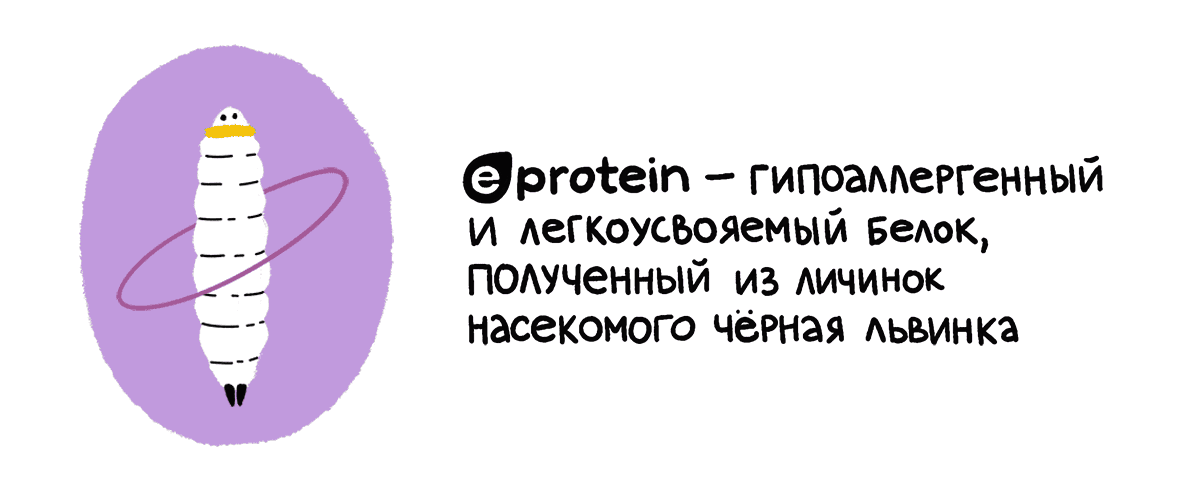 Как не подвести питомца при смене рациона 360