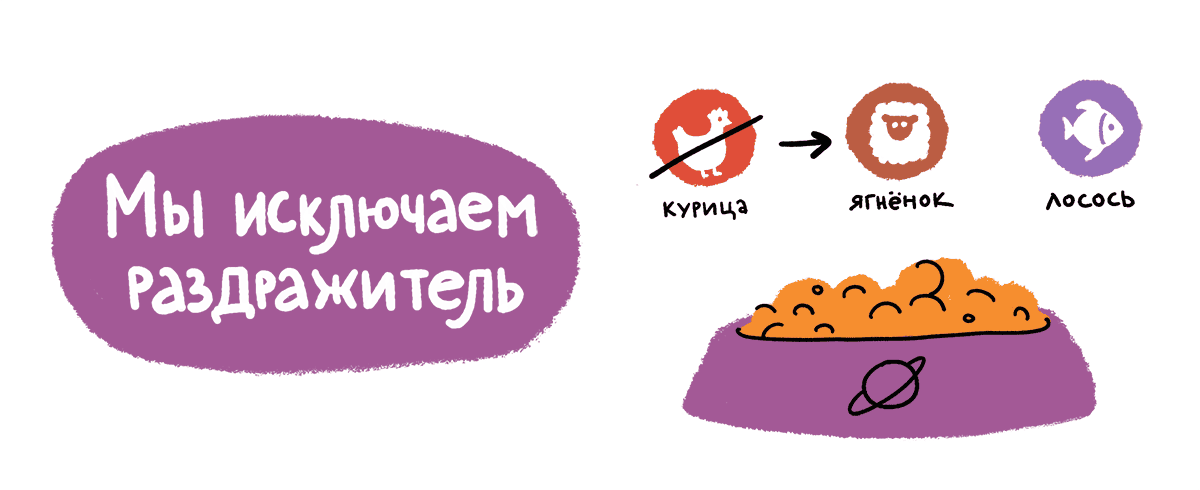 Как не подвести питомца при смене рациона 188