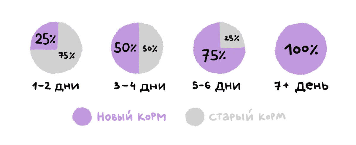 Как не подвести питомца при смене рациона 368