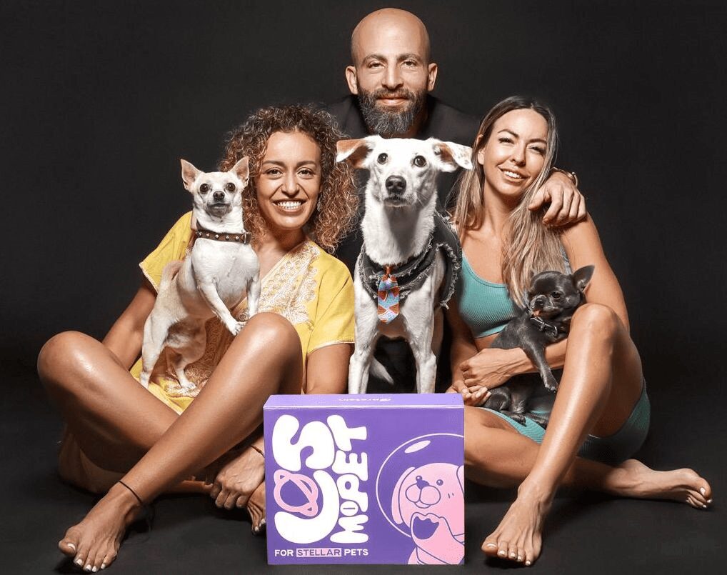 Pet parenting: почему нам легче завести собаку, чем семью 604