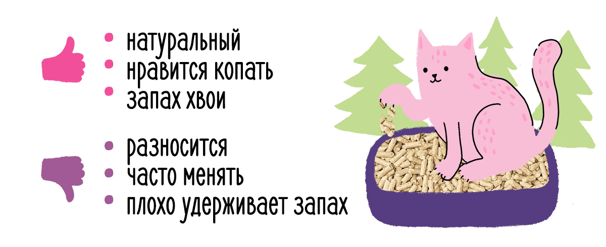 Дела кошачьи: виды наполнителей, их плюсы и минусы 483