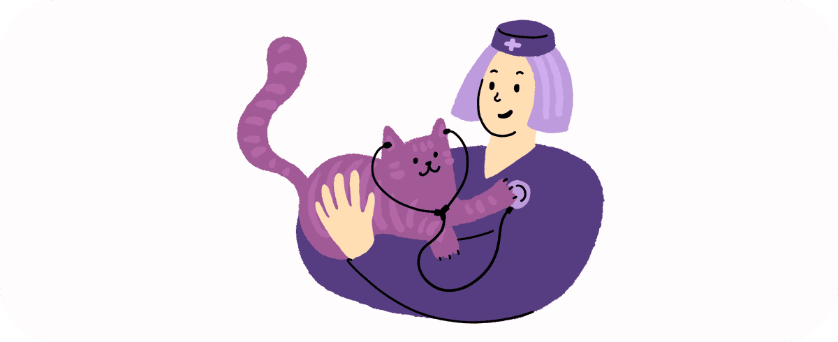 Эмоциональный бунт или осмысленный протест? Почему кошки игнорируют лоток 923