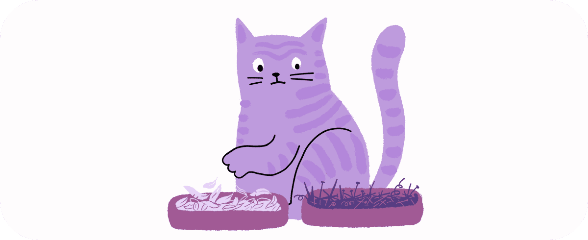 Эмоциональный бунт или осмысленный протест? Почему кошки игнорируют лоток 985