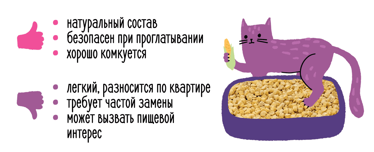 Дела кошачьи: виды наполнителей, их плюсы и минусы 330