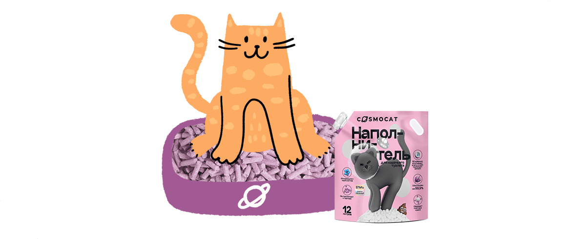 Мягкая посадка: как подружить кошку с новым наполнителем — легко и без нервов 145