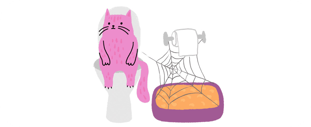 Мягкая посадка: как подружить кошку с новым наполнителем — легко и без нервов 797