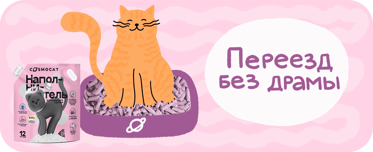 Мягкая посадка: как подружить кошку с новым наполнителем — легко и без нервов