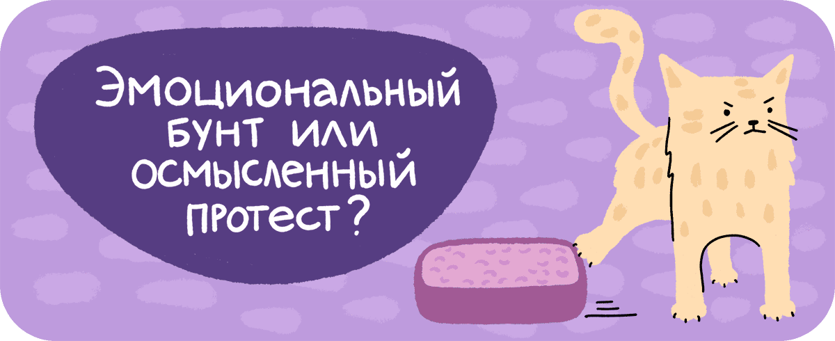 Мягкая посадка: как подружить кошку с новым наполнителем — легко и без нервов 71