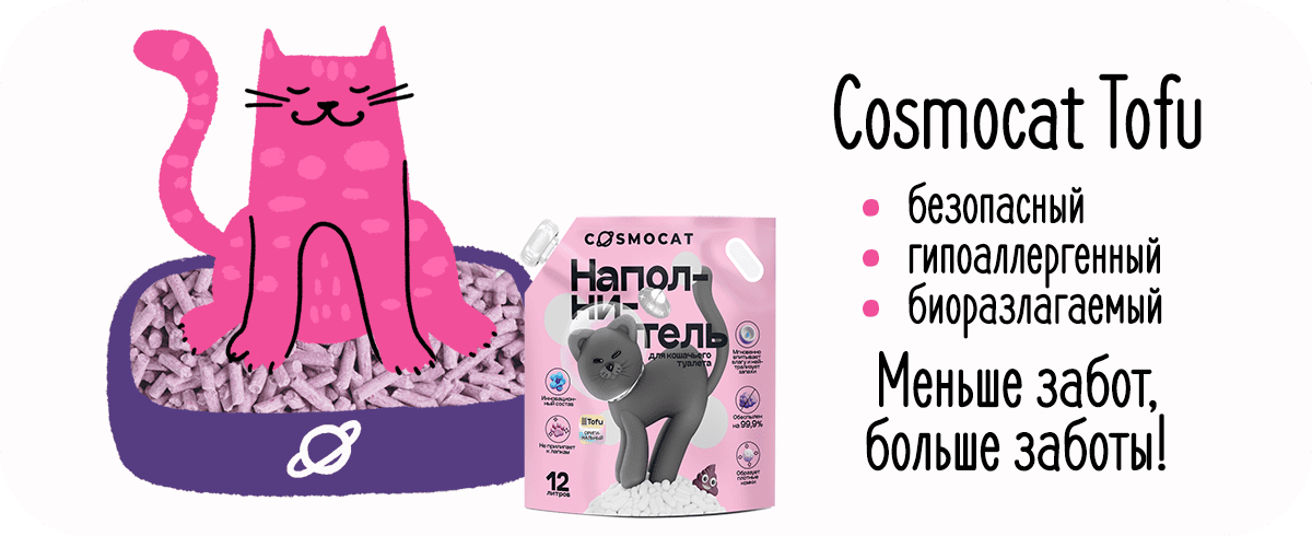 Эмоциональный бунт или осмысленный протест? Почему кошки игнорируют лоток 184