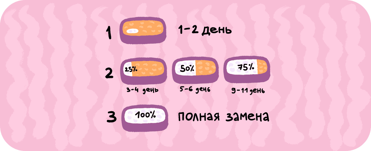 Мягкая посадка: как подружить кошку с новым наполнителем — легко и без нервов 865